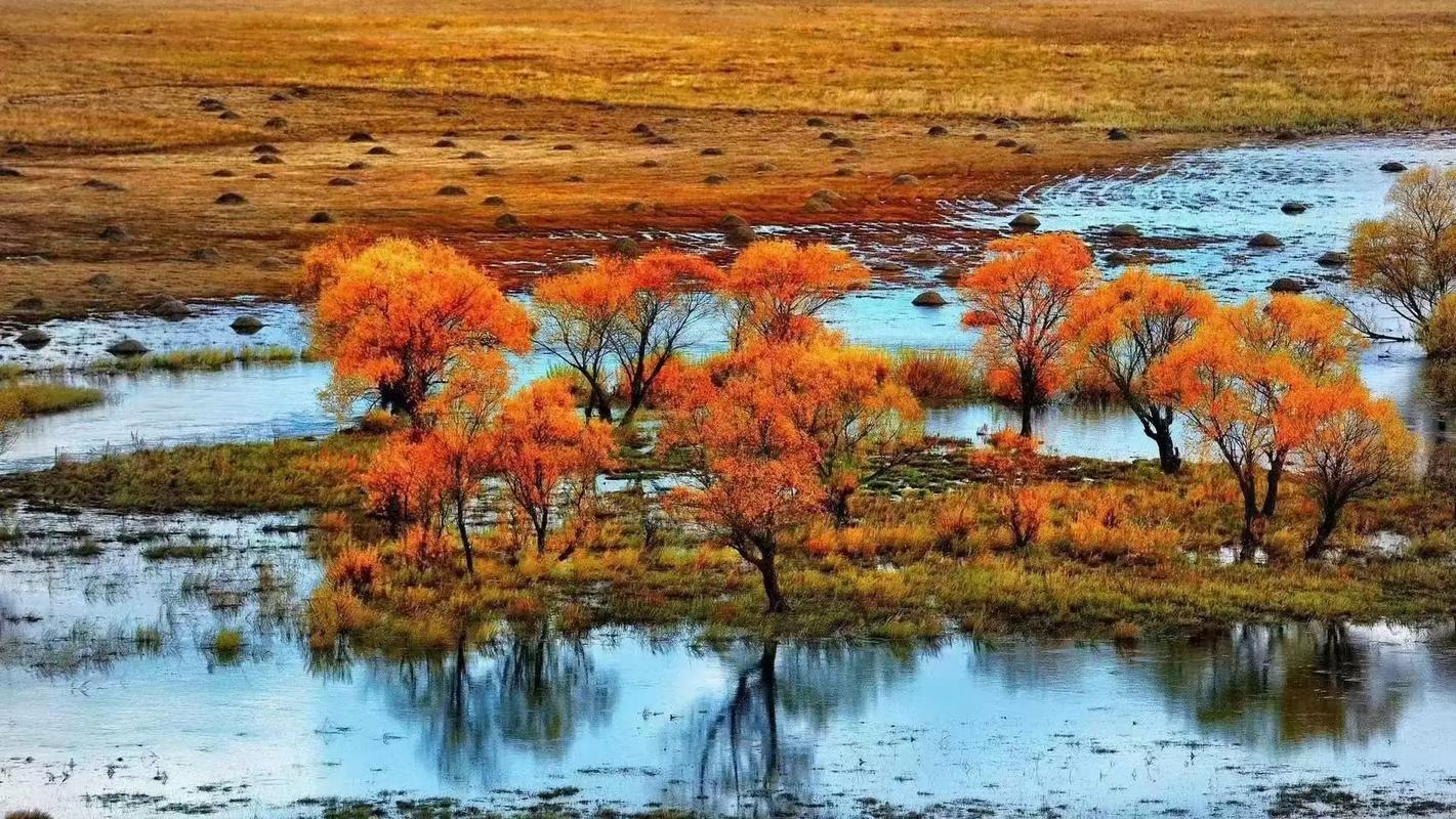 呼伦贝尔秋季6天